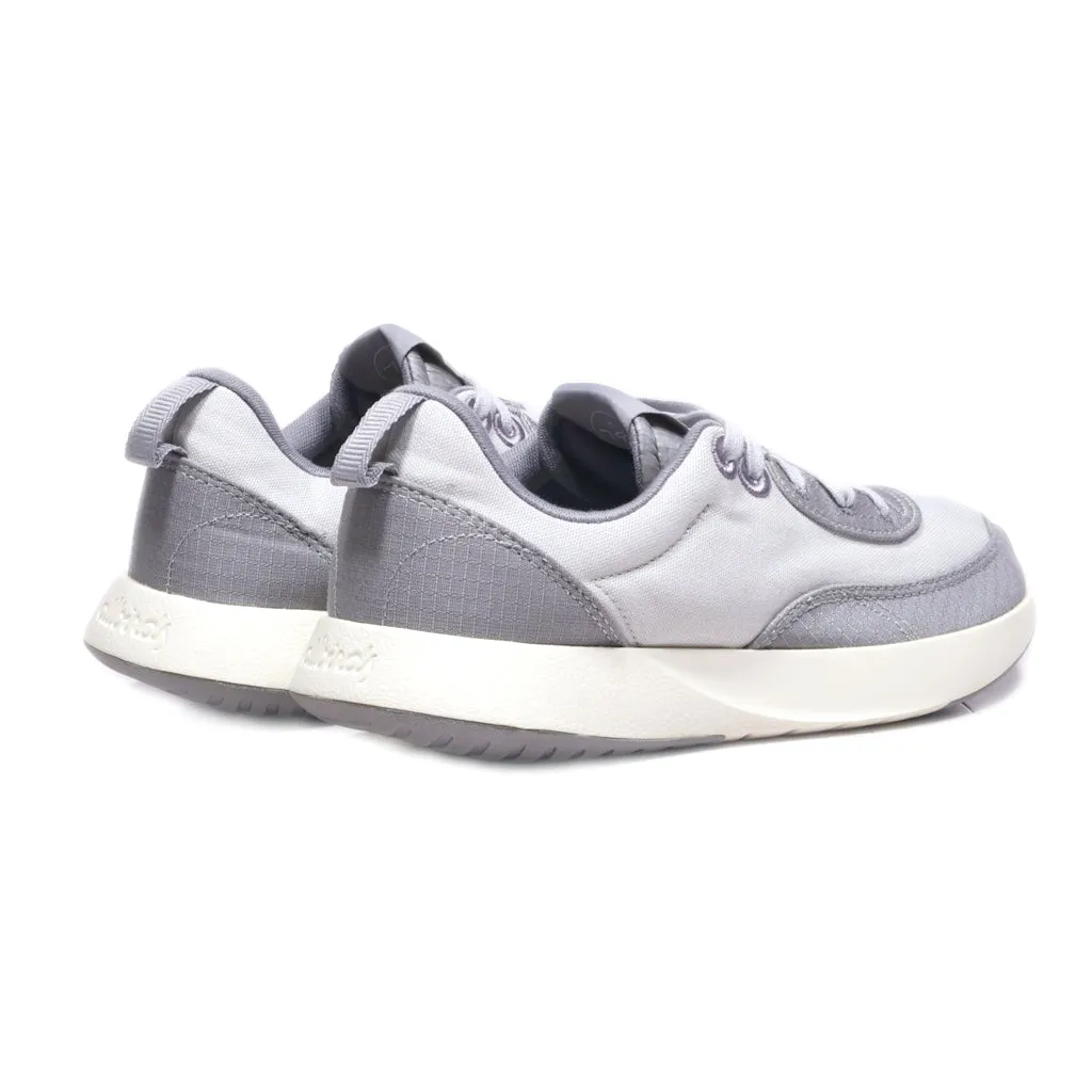 Allbirds Couriers Sport Shoes Canvas Grey Colour For Women