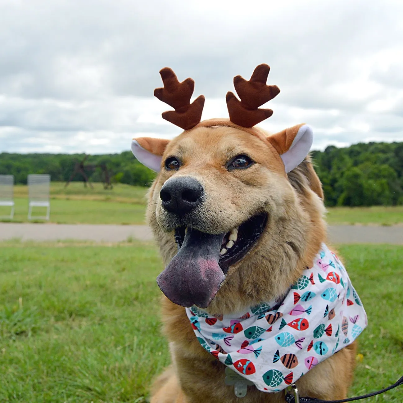 Reindeer Ear Headband